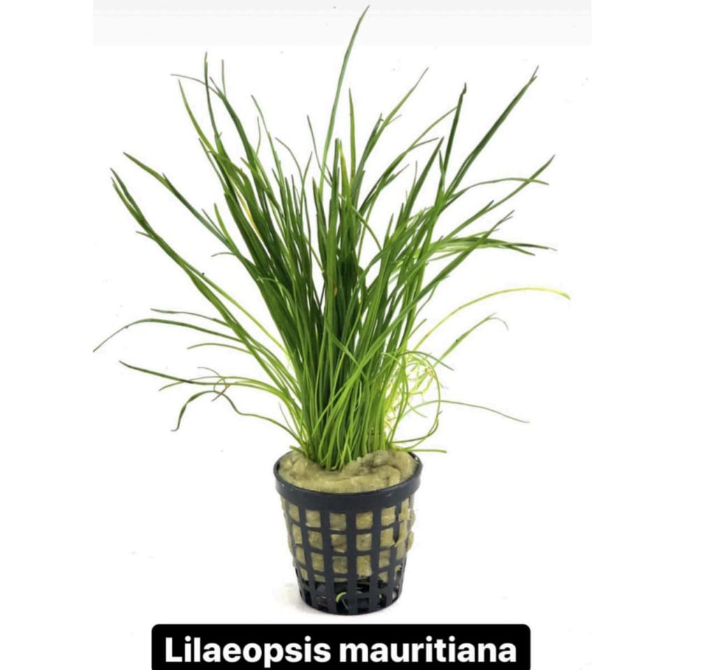 WhatsApp Image 2024-12-08 at 14.34.24 (1)